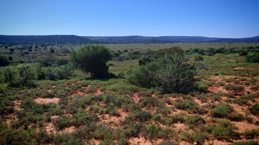 0 Bedroom Property for Sale in Somerset East Rural Eastern Cape
